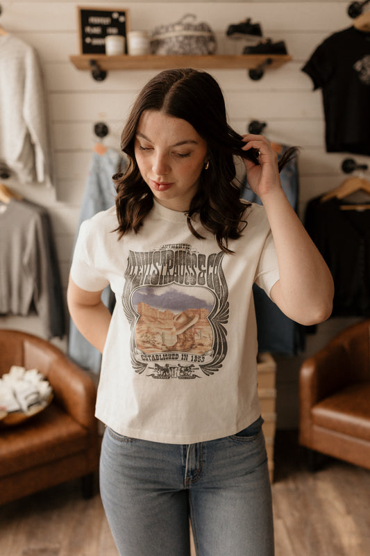 Levi's Desert Graphic | Tee