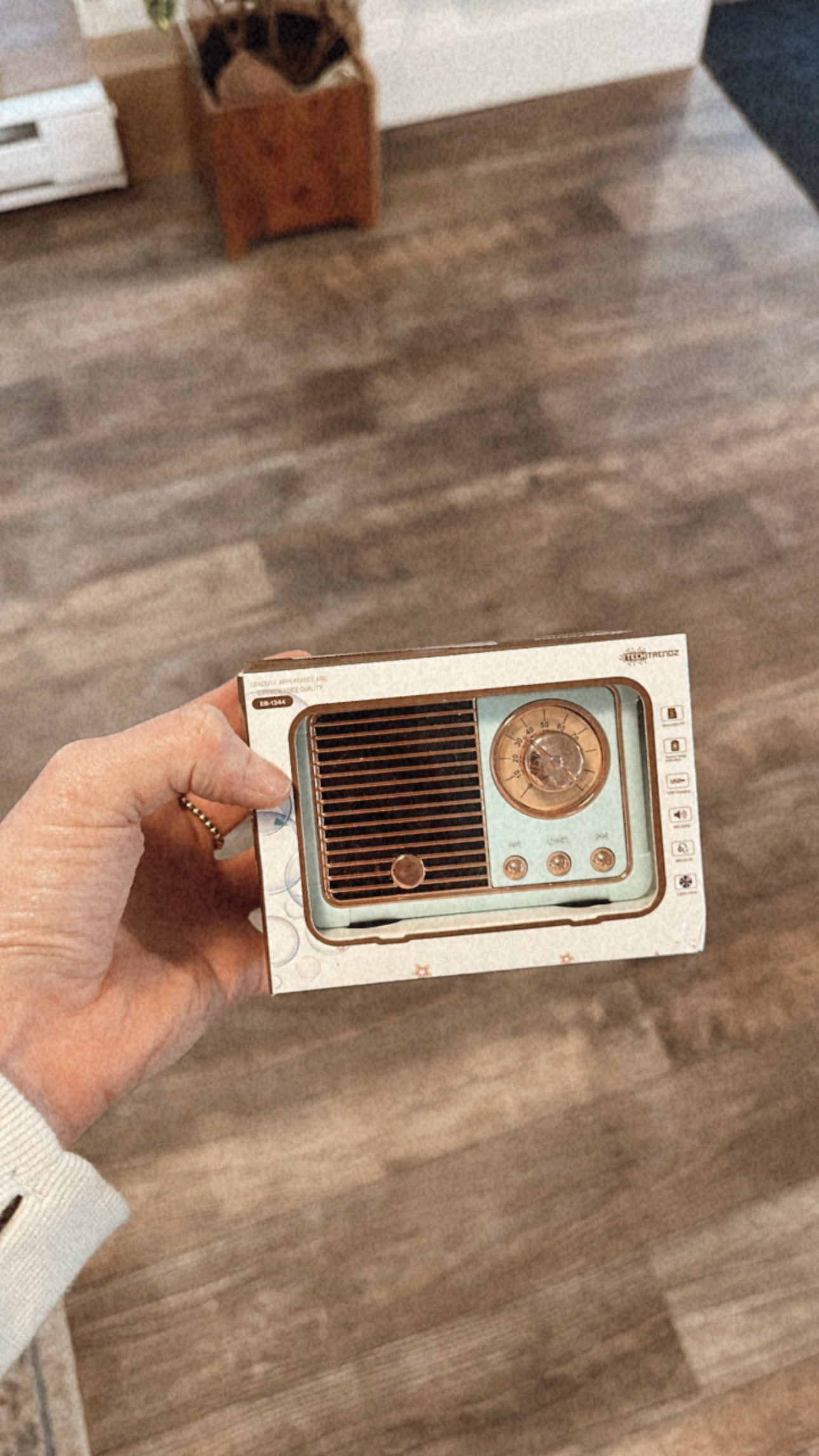 Mint | Vintage Speaker