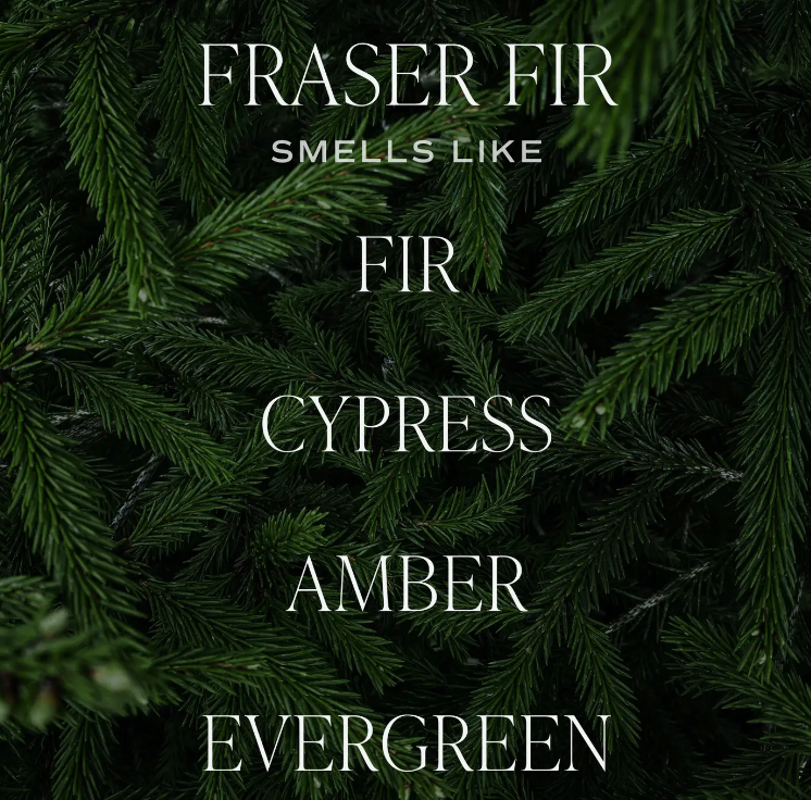 Fraser Fir | Air Freshener