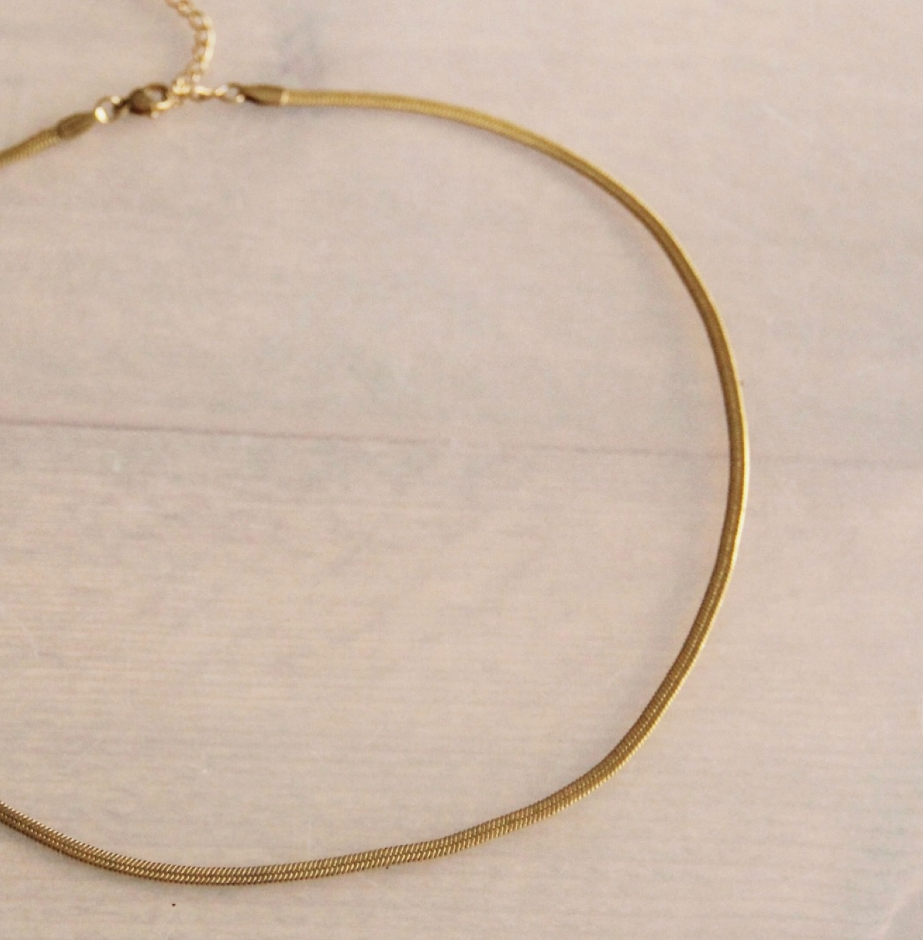 Gold Snake Chain | Necklace