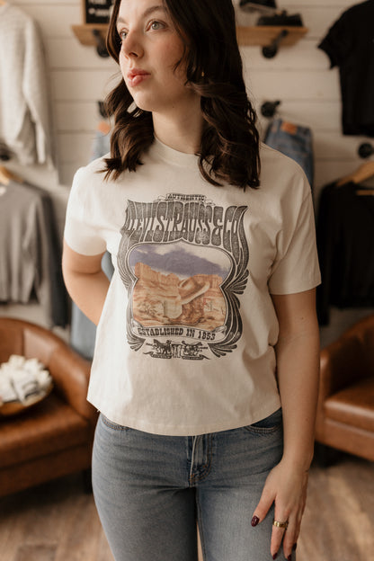 Levi's Desert Graphic | Tee