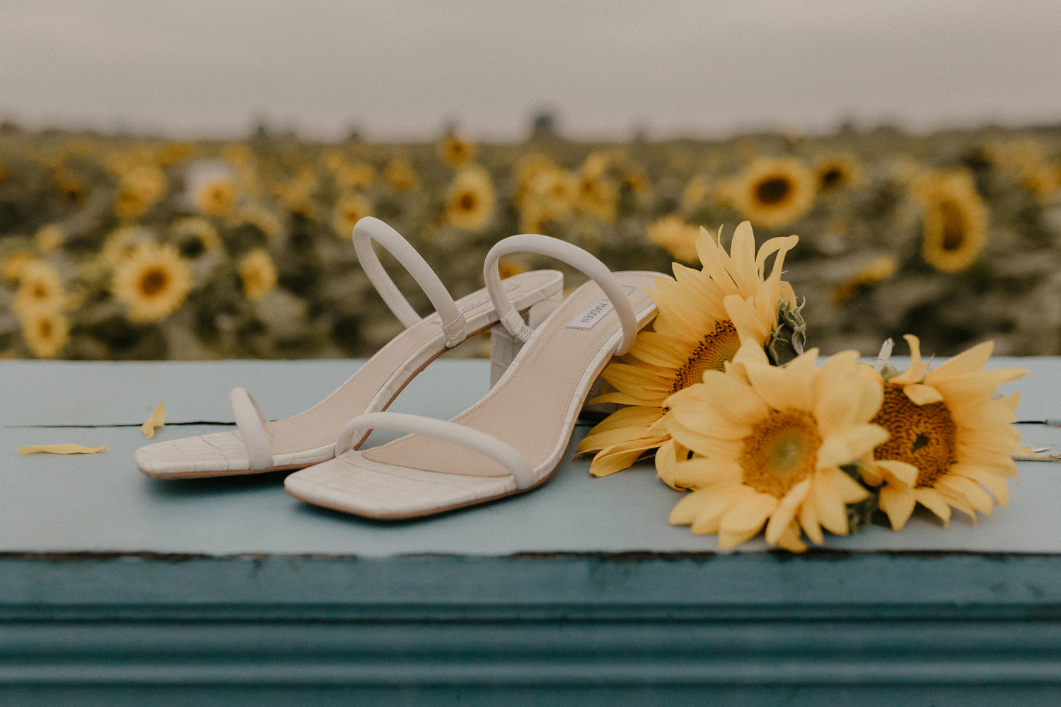 FOOTWEAR