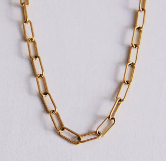 LRG | D-Chain Necklace
