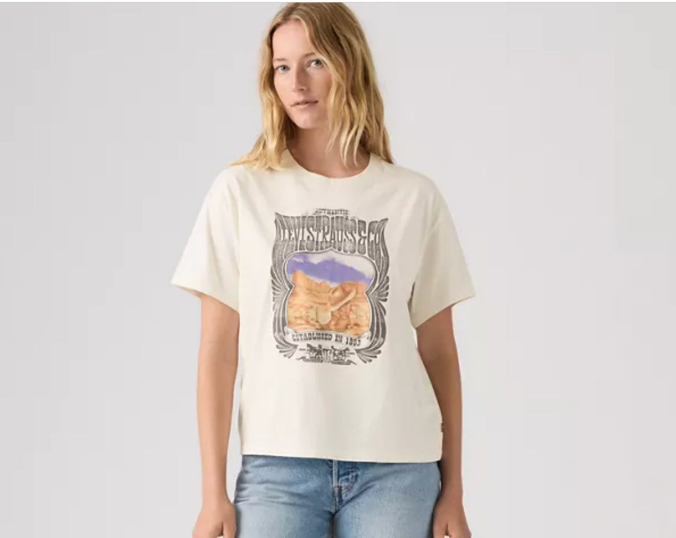 Levi's Desert Graphic | Tee