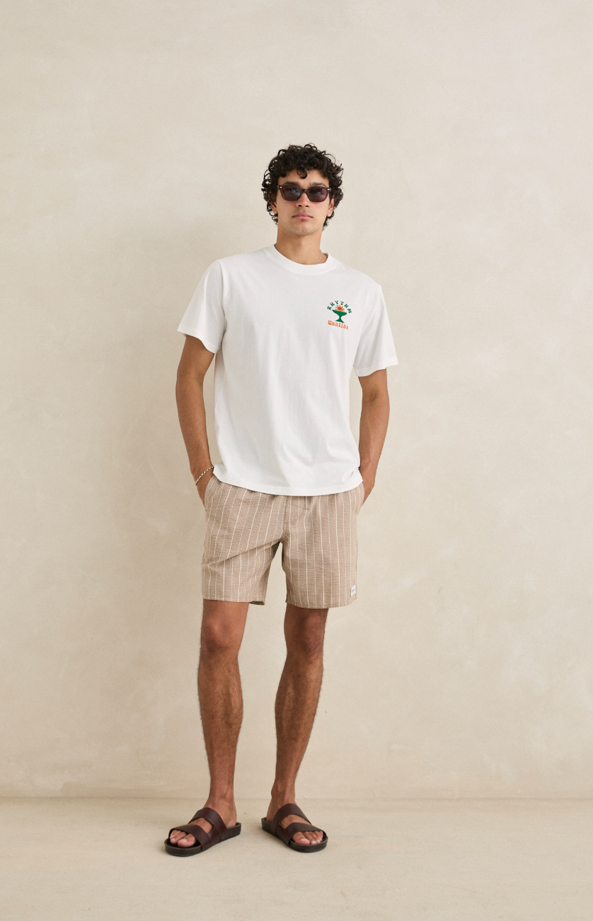 Seersucker Stripe | Shorts