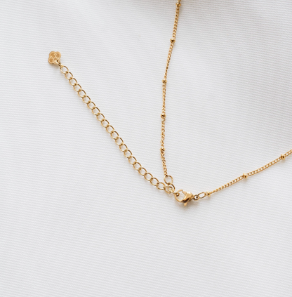 Freshwater Pearl | Necklace